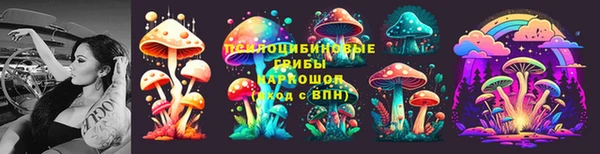 кокс Пересвет